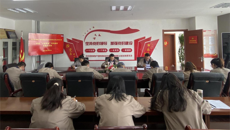 以案促改轉(zhuǎn)作風(fēng) 堅守底線樹新風(fēng)   &mdash;&mdash;青海物產(chǎn)朝陽物流開發(fā)投資有限公司支部委員會開展&ldquo;以案促改&rdquo;作風(fēng)建設(shè)專項大討論