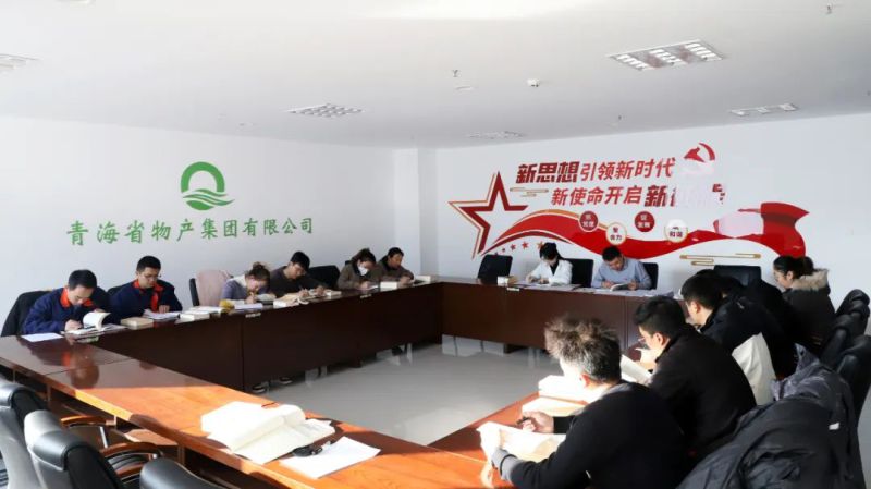 凝心鑄魂學(xué)思想 充電蓄能促提升&mdash;&mdash;集團團委組織開展團員和青年主題教育&ldquo;挺膺擔(dān)當(dāng)&rdquo;專題集中學(xué)習(xí)