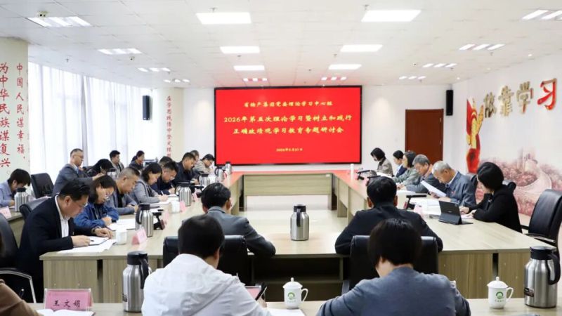 集團(tuán)黨委理論學(xué)習(xí)中心組召開(kāi)專題研討會(huì)